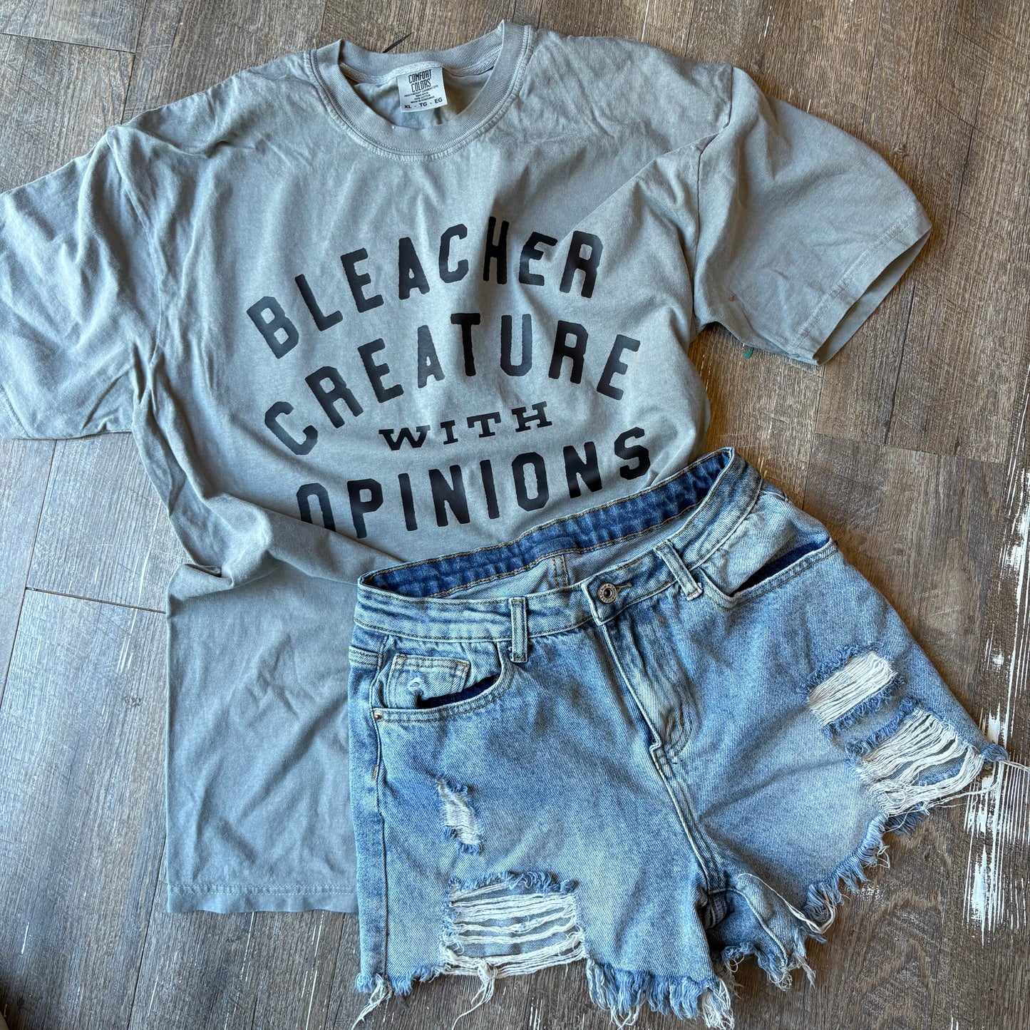 Bleacher Creature - Comfort Colors