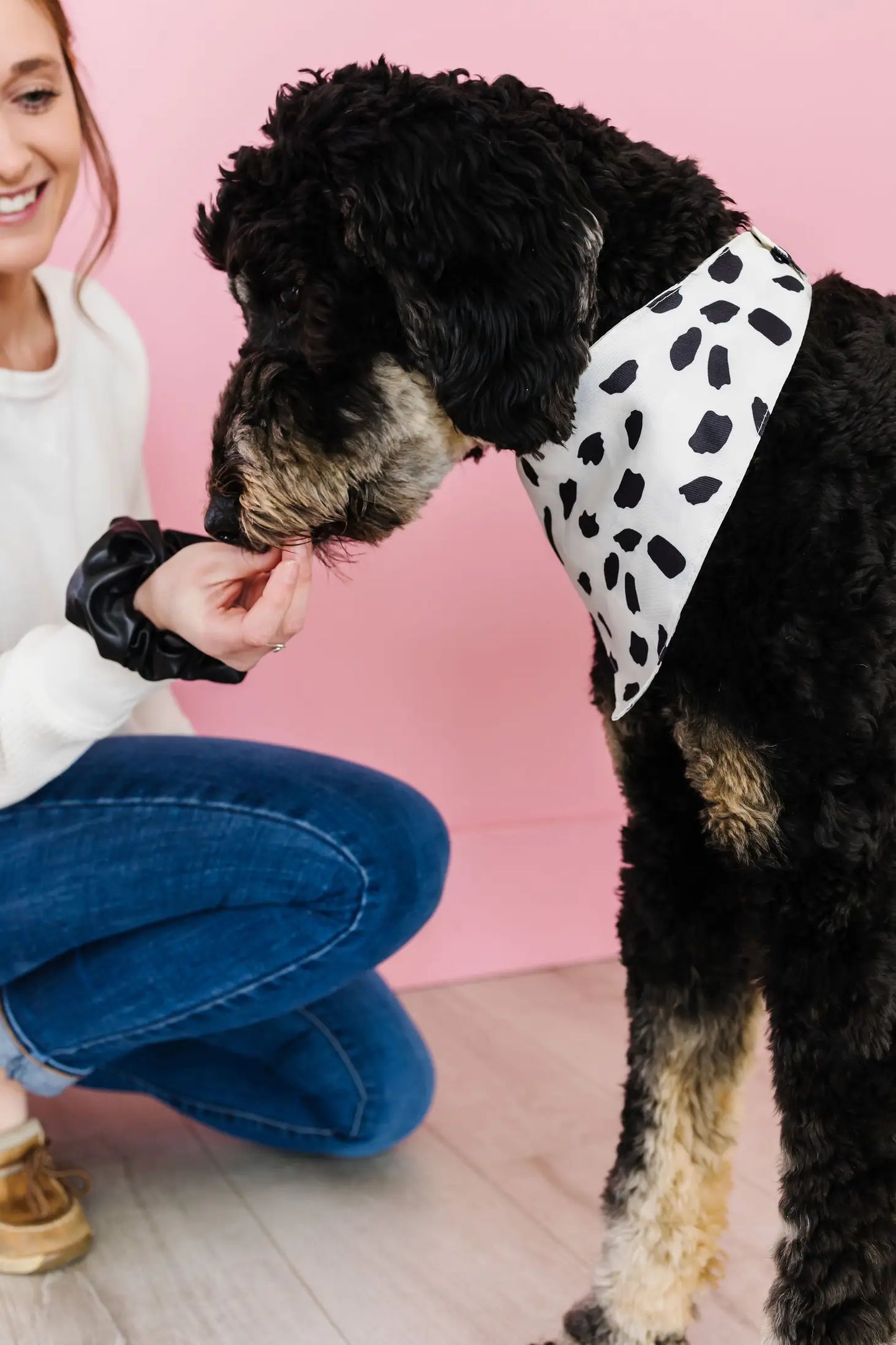 Spotted Pet Bandana + Scrunchie Slide on Collar